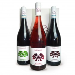 Rosato IGT Terre di Chieti Box da 6 - Cantina BUZZARONE